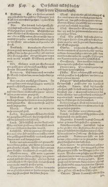 Image of the Page - 617 - in Artzney Buch