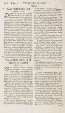 Image of the Page - 623 - in Artzney Buch