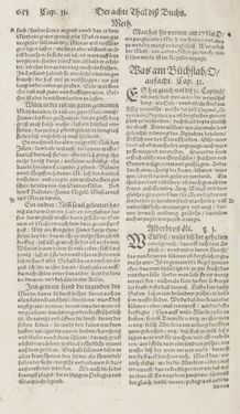 Image of the Page - 651 - in Artzney Buch