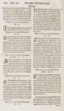 Image of the Page - 671 - in Artzney Buch
