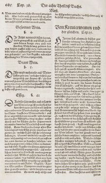 Image of the Page - 685 - in Artzney Buch