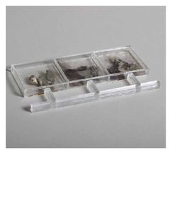 Image of the Page - 170 - in Demolished Modified Endangered - Modelling Austrian Architecture Of The 20th Century