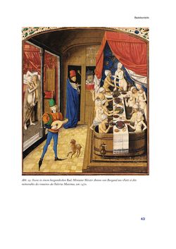 Bild der Seite - 43 - in Im städtischen Bad vor 500 Jahren - Badhaus, Bader und Badegäste im alten Tirol