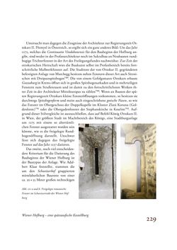 Image of the Page - 229 - in Die Baukunst des 13. Jahrhunderts in Österreich