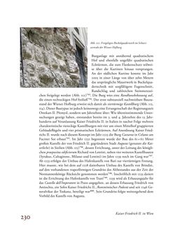 Image of the Page - 230 - in Die Baukunst des 13. Jahrhunderts in Österreich
