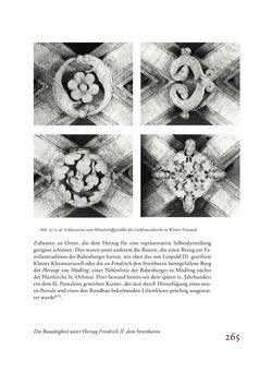 Bild der Seite - 265 - in Die Baukunst des 13. Jahrhunderts in Österreich