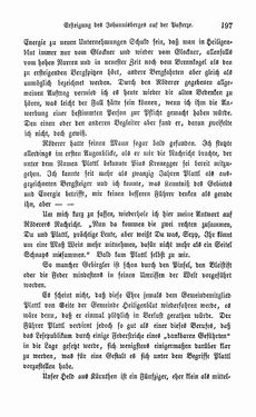 Bild der Seite - 197 - in Berg- und Gletscher-Reisen in den österreichischen Hochalpen