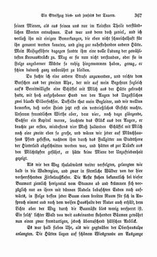 Image of the Page - 367 - in Berg- und Gletscher-Reisen in den österreichischen Hochalpen