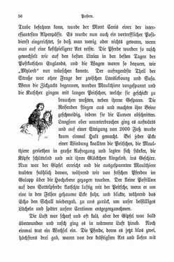 Bild der Seite - 56 - in Berg- und Gletscherfahrten in den Alpen in den Jahren 1860 bis 1869