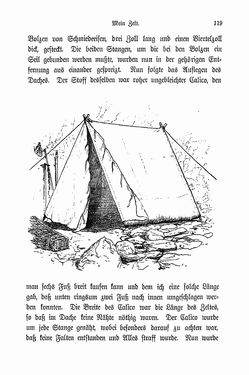 Image of the Page - 119 - in Berg- und Gletscherfahrten in den Alpen in den Jahren 1860 bis 1869