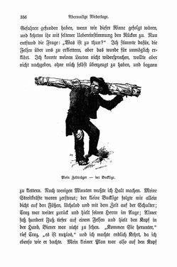 Image of the Page - 356 - in Berg- und Gletscherfahrten in den Alpen in den Jahren 1860 bis 1869