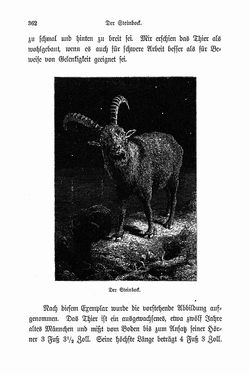 Image of the Page - 362 - in Berg- und Gletscherfahrten in den Alpen in den Jahren 1860 bis 1869