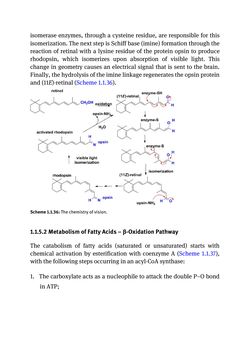 Bild der Seite - (000049) - in Biomedical Chemistry: Current Trends and Developments