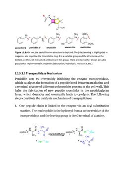 Bild der Seite - (000053) - in Biomedical Chemistry: Current Trends and Developments