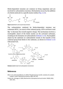 Image of the Page - (000060) - in Biomedical Chemistry: Current Trends and Developments