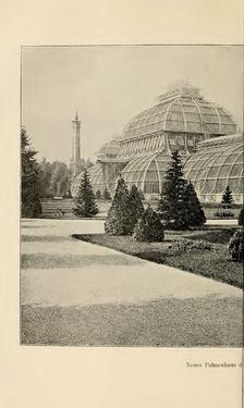 Bild der Seite - (000062) - in Botanik und Zoologie in Österreich - In den Jahren 1850 bis 1900