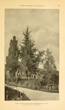 Bild der Seite - 75 - in Botanik und Zoologie in Österreich - In den Jahren 1850 bis 1900