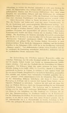 Image of the Page - 173 - in Botanik und Zoologie in Österreich - In den Jahren 1850 bis 1900