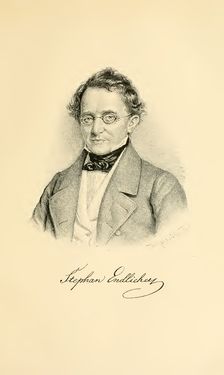 Image of the Page - (000237) - in Botanik und Zoologie in Österreich - In den Jahren 1850 bis 1900