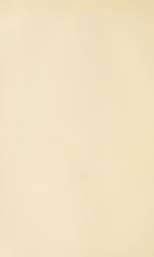 Image of the Page - (000240) - in Botanik und Zoologie in Österreich - In den Jahren 1850 bis 1900