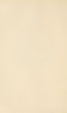 Image of the Page - (000294) - in Botanik und Zoologie in Österreich - In den Jahren 1850 bis 1900