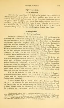 Image of the Page - 349 - in Botanik und Zoologie in Österreich - In den Jahren 1850 bis 1900