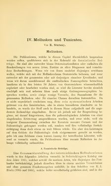 Image of the Page - 381 - in Botanik und Zoologie in Österreich - In den Jahren 1850 bis 1900