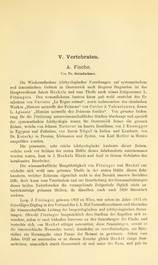 Bild der Seite - 407 - in Botanik und Zoologie in Österreich - In den Jahren 1850 bis 1900