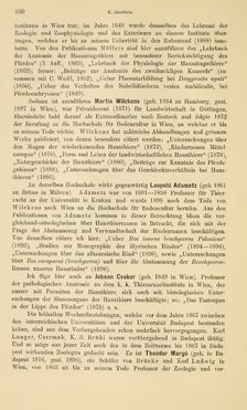 Bild der Seite - 530 - in Botanik und Zoologie in Österreich - In den Jahren 1850 bis 1900
