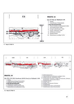 Image of the Page - 41 - in Ein Brandhorizont aus der Zeit der Markomannenkriege im südostnorischen Munizipium Flavia Solva