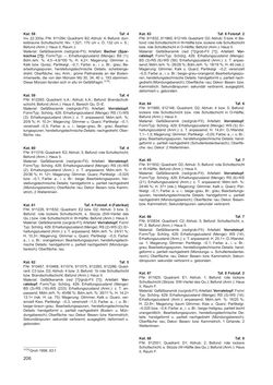 Image of the Page - 206 - in Ein Brandhorizont aus der Zeit der Markomannenkriege im südostnorischen Munizipium Flavia Solva