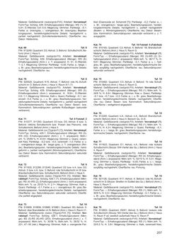 Image of the Page - 207 - in Ein Brandhorizont aus der Zeit der Markomannenkriege im südostnorischen Munizipium Flavia Solva