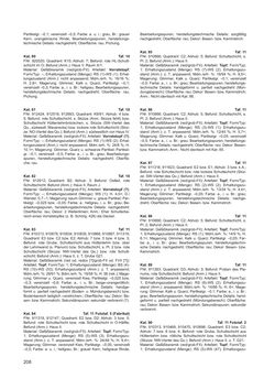 Image of the Page - 208 - in Ein Brandhorizont aus der Zeit der Markomannenkriege im südostnorischen Munizipium Flavia Solva