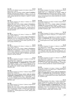 Image of the Page - 247 - in Ein Brandhorizont aus der Zeit der Markomannenkriege im südostnorischen Munizipium Flavia Solva