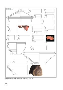 Image of the Page - 266 - in Ein Brandhorizont aus der Zeit der Markomannenkriege im südostnorischen Munizipium Flavia Solva