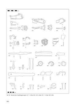 Image of the Page - 300 - in Ein Brandhorizont aus der Zeit der Markomannenkriege im südostnorischen Munizipium Flavia Solva