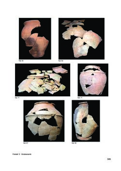 Image of the Page - 309 - in Ein Brandhorizont aus der Zeit der Markomannenkriege im südostnorischen Munizipium Flavia Solva