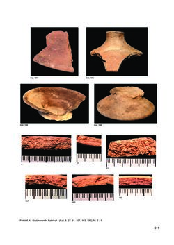 Image of the Page - 311 - in Ein Brandhorizont aus der Zeit der Markomannenkriege im südostnorischen Munizipium Flavia Solva