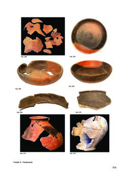 Image of the Page - 313 - in Ein Brandhorizont aus der Zeit der Markomannenkriege im südostnorischen Munizipium Flavia Solva