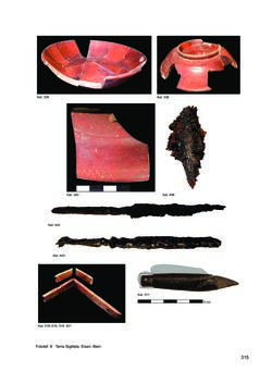 Image of the Page - 315 - in Ein Brandhorizont aus der Zeit der Markomannenkriege im südostnorischen Munizipium Flavia Solva