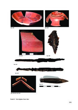 Bild der Seite - 315 - in Ein Brandhorizont aus der Zeit der Markomannenkriege im südostnorischen Munizipium Flavia Solva