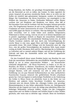Bild der Seite - 82 - in Brasilien - Ein Land der Zukunft