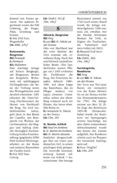 Bild der Seite - 251 - in Burgen und Schlösser in Österreich