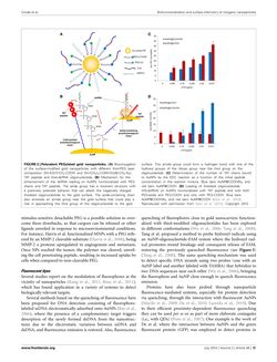 Bild der Seite - 12 - in Cancer Nanotheranostics - What Have We Learnd So Far?