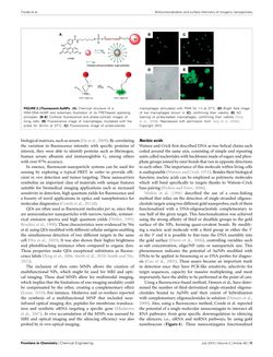 Image of the Page - 13 - in Cancer Nanotheranostics - What Have We Learnd So Far?