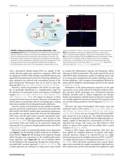 Image of the Page - 14 - in Cancer Nanotheranostics - What Have We Learnd So Far?