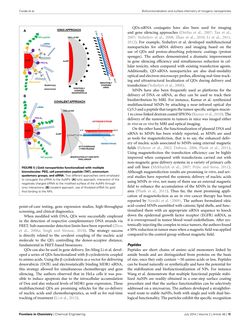 Bild der Seite - 15 - in Cancer Nanotheranostics - What Have We Learnd So Far?