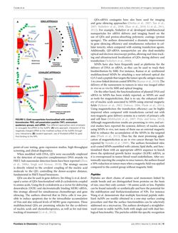 Image of the Page - 15 - in Cancer Nanotheranostics - What Have We Learnd So Far?