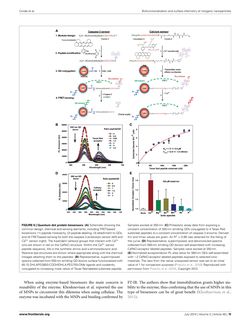 Bild der Seite - 18 - in Cancer Nanotheranostics - What Have We Learnd So Far?