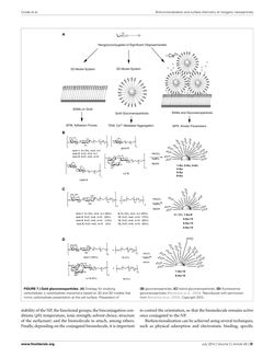 Bild der Seite - 20 - in Cancer Nanotheranostics - What Have We Learnd So Far?